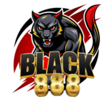 Black888 เว็บตรงมาตรฐานสากล ตอบโจทย์ทุกความต้องการ